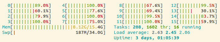Visual demonstration that 16 processors were busy