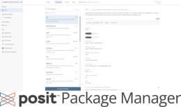 Posit Package Manager screenshot above Posit Package Manager logo