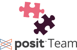 Two puzzle pieces above Posit Team below